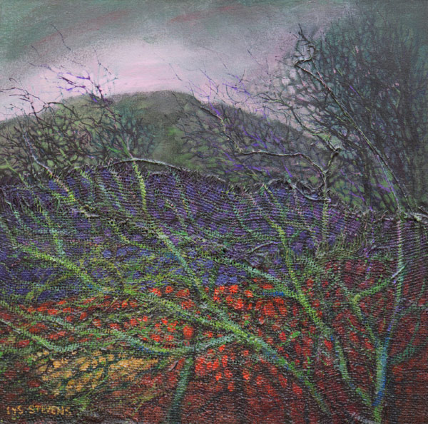 reaching for pale winter light