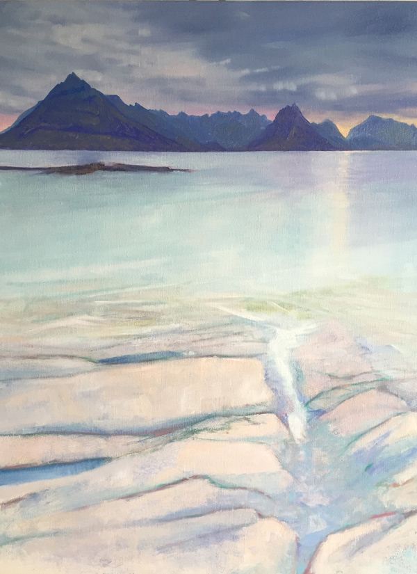 sea stole in among pink rock, Elgol, Skye