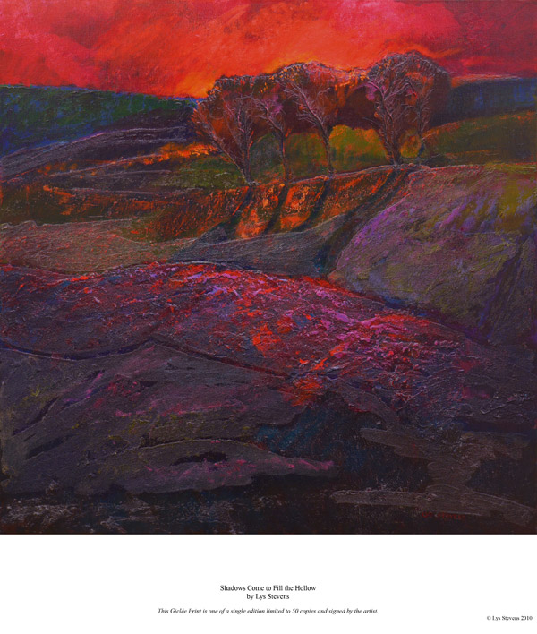 shadows come to fill the hollow