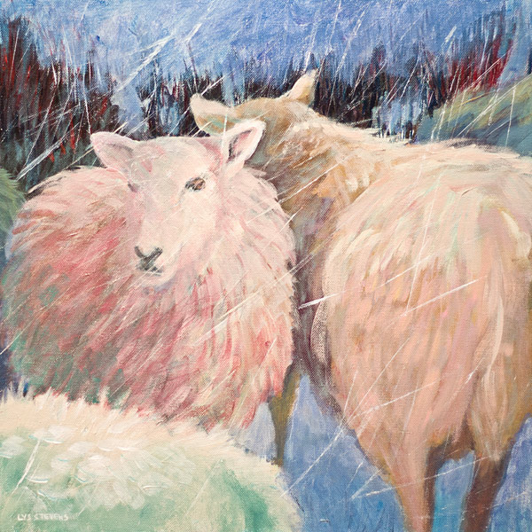 sheep sheltered as the snow began, Strath