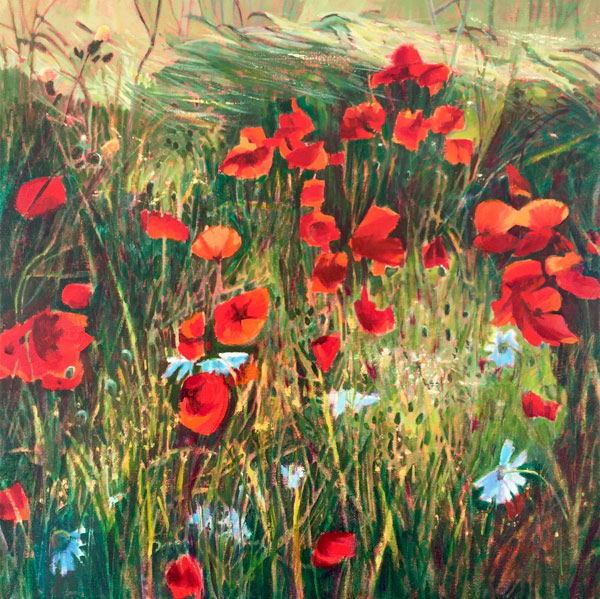 sunlight, poppies and grasses