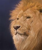 the golden king