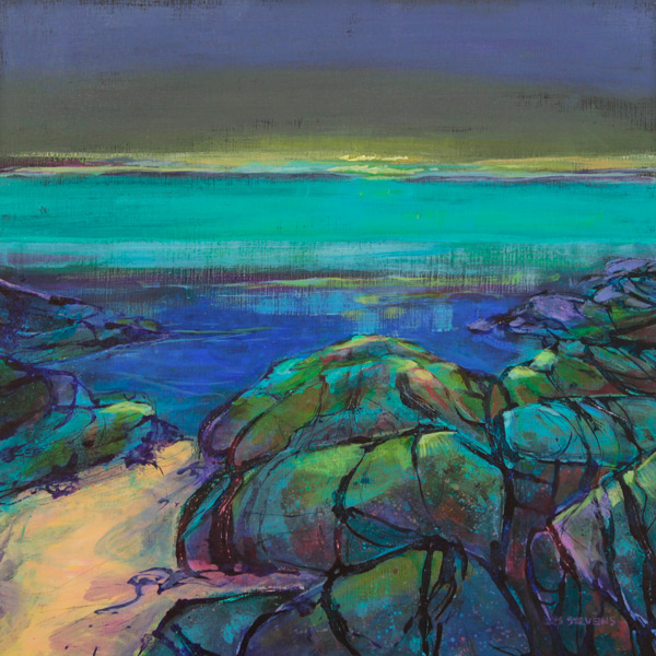 vibrant night shore, Gairloch