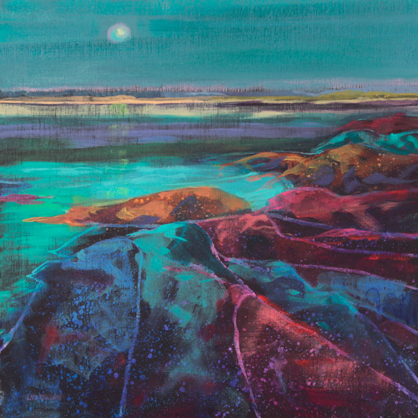 vivid night rocks, Ardnamurchan