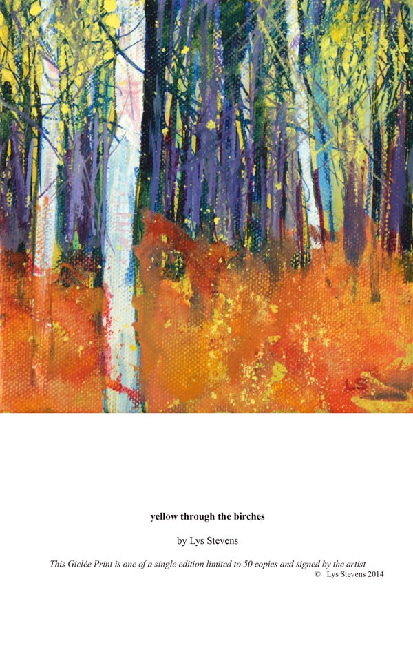 yellow through the birches