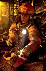 Firehouse Dog