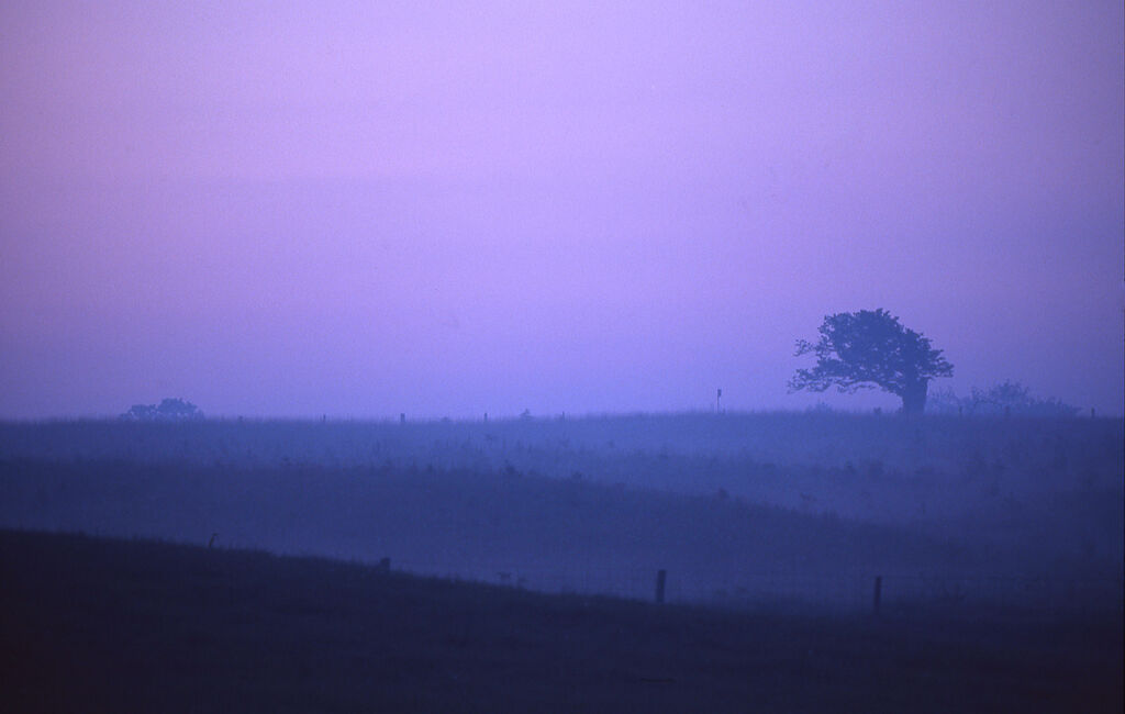 Pre Dawn