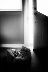 Shoes by the door
