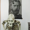 D'Arcy Wentworth Thompson