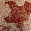 Knitted picture of Laika the space dog in red and dark cream