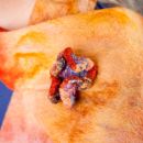 Hyperbolic brooch and fine felt scarf