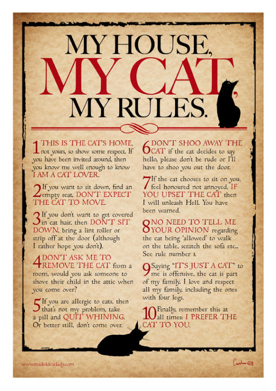 My House, My Cat, My Rules