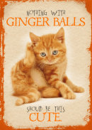 OH! HELL KITTY CARDS