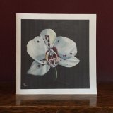 Orchid 1 Card