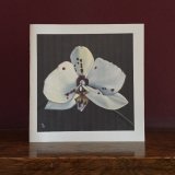 Orchid 2 Card