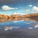 Epsom Common Version 2