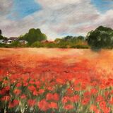 Beck Row Poppies Poppy in Beck Row