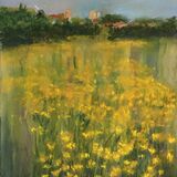 West Common Buttercups