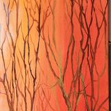 sunset Trees