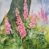 Woodland Foxgloves