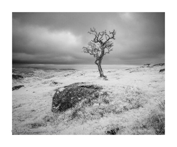 Dartmoor IR-1