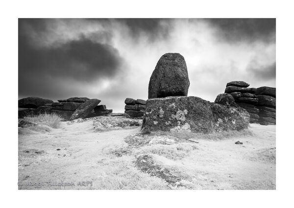 Dartmoor IR-3