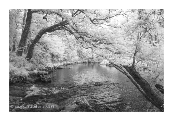 Dartmoor IR-6