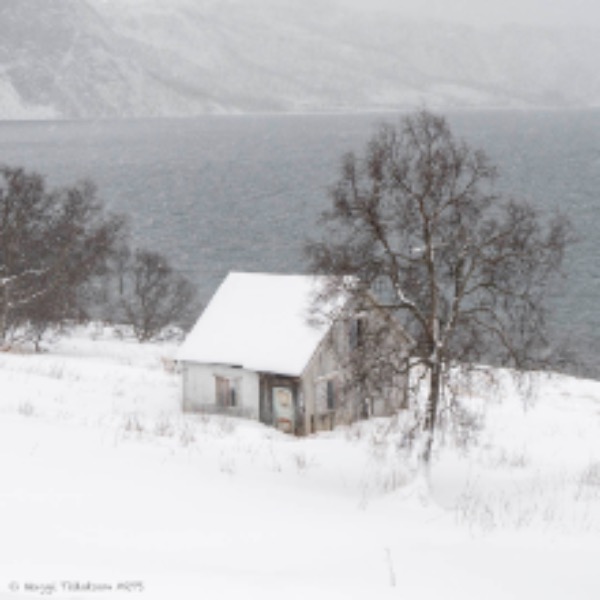 Norway - inside the Arctic Circle