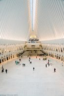 The Oculus-1