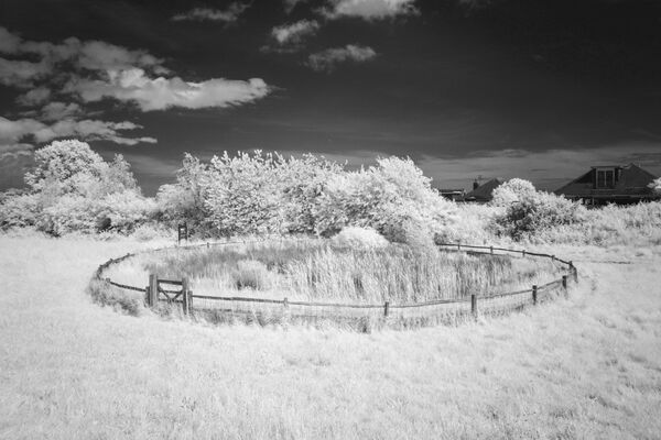 Dew Pond Green Ridge