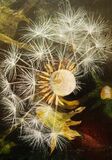 Dandelion Constellation 2