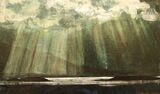 Veil of Light