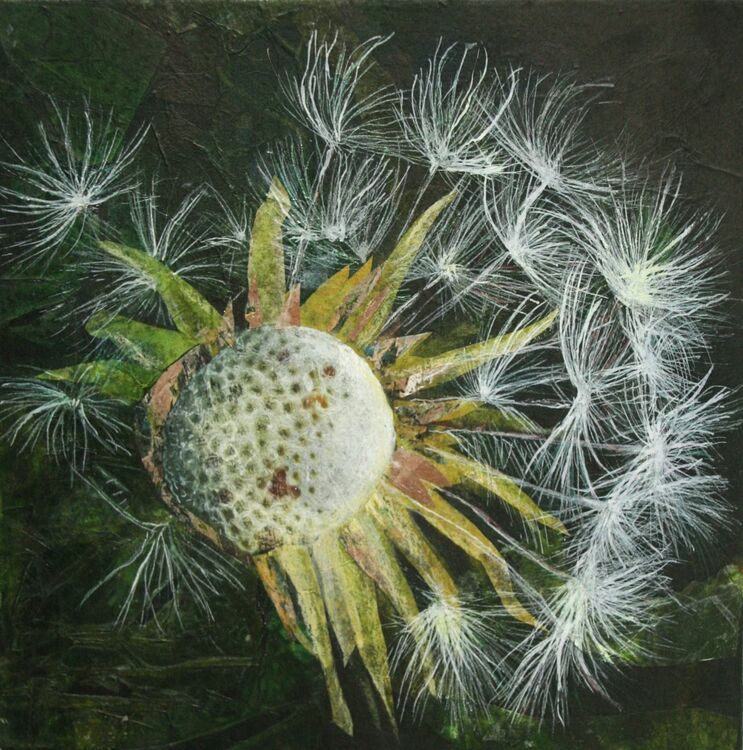 Dandelion Constellation 1