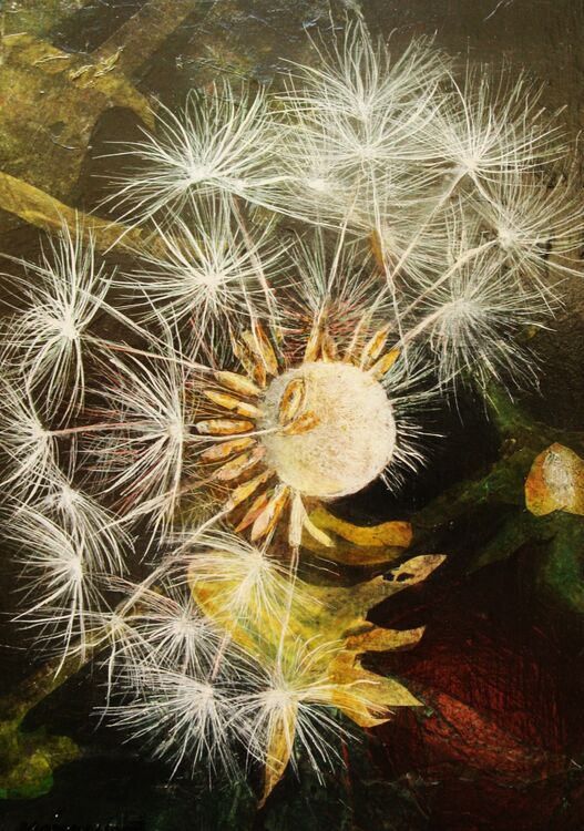 Dandelion Constellation 2