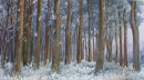 Hard Frost