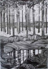 Reflected Wood 2