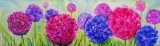 Alium, mounted, unframed limited edition print of a watercolour, size 20” x 6” £24