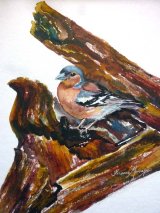 Chatfinch Watercolour Inks 43 X 37cm £68