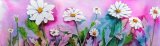 Dancing Daisies, mounted, unframed limited edition print of a watercolour, size 20” x 6” £24