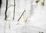 Frozen Pond,water colour on paper, 31x23 cm, £30, Original.