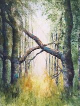 INTO THE WOODS Medium: GOUACHE Size (unframed): 12 x 16in Size (framed): 16 x 20in Price (framed): £80
