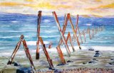 Sea-washed timbers, Dumfries & Galloway. Watercolour on paper 34x25 cm. Unframed £80