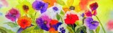 Pansies, mounted, unframed limited edition print of a watercolour, size 20” x 6" £24