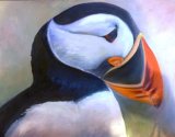 Portrait of a Puffin Oil 55cm X 46cm Framed £68