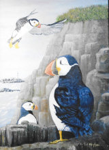 Puffins, Oil/Board, 40 X 32 cm, £100