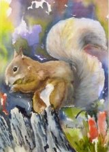 Red Squirel Watercolour Inks 50 X 40cm £68