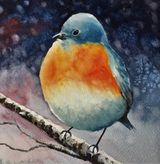 ROCKIN’ ROBIN Watercolour/Gouache 12 x 14in £25 unframed
