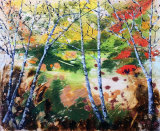 Silver Birch Mixed Media 46 x 55 cm £100