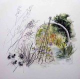 Weeping Ash Garden Watercolour £80 45x45cm