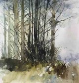 Winter Trees 2 24X24cm Watercolour £80